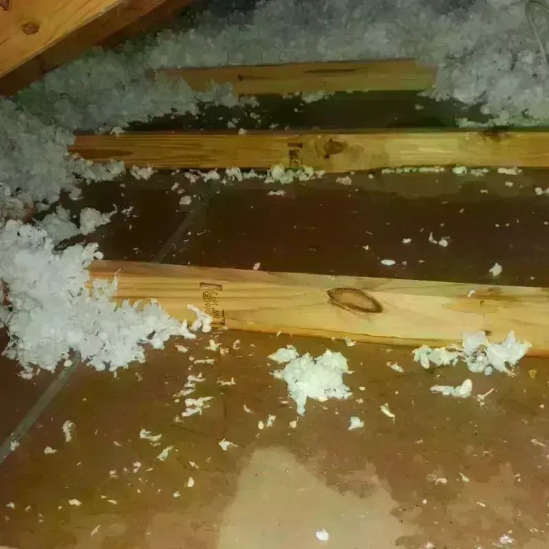 Attic Water Damage in Dearborn Heights, MI