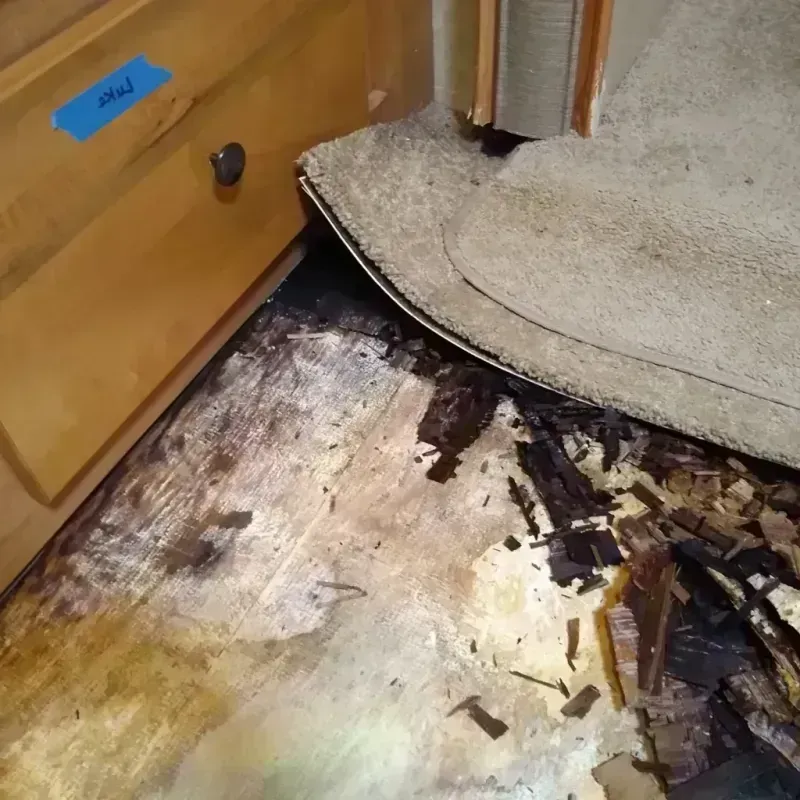 Wood Floor Water Damage in Dearborn Heights, MI